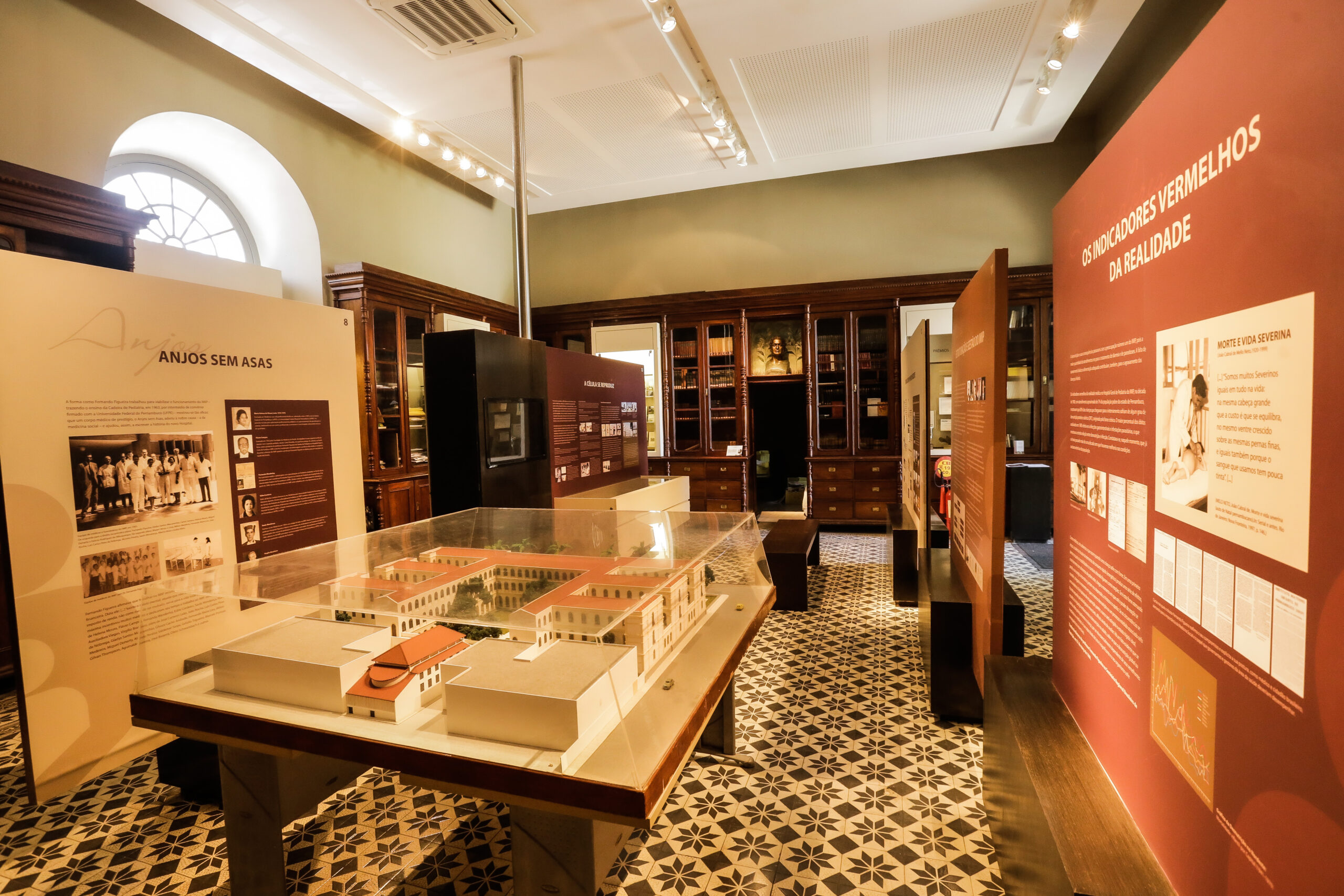 Museu do IMIP: 15 anos de história